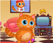 macis - Lovely virtual cat